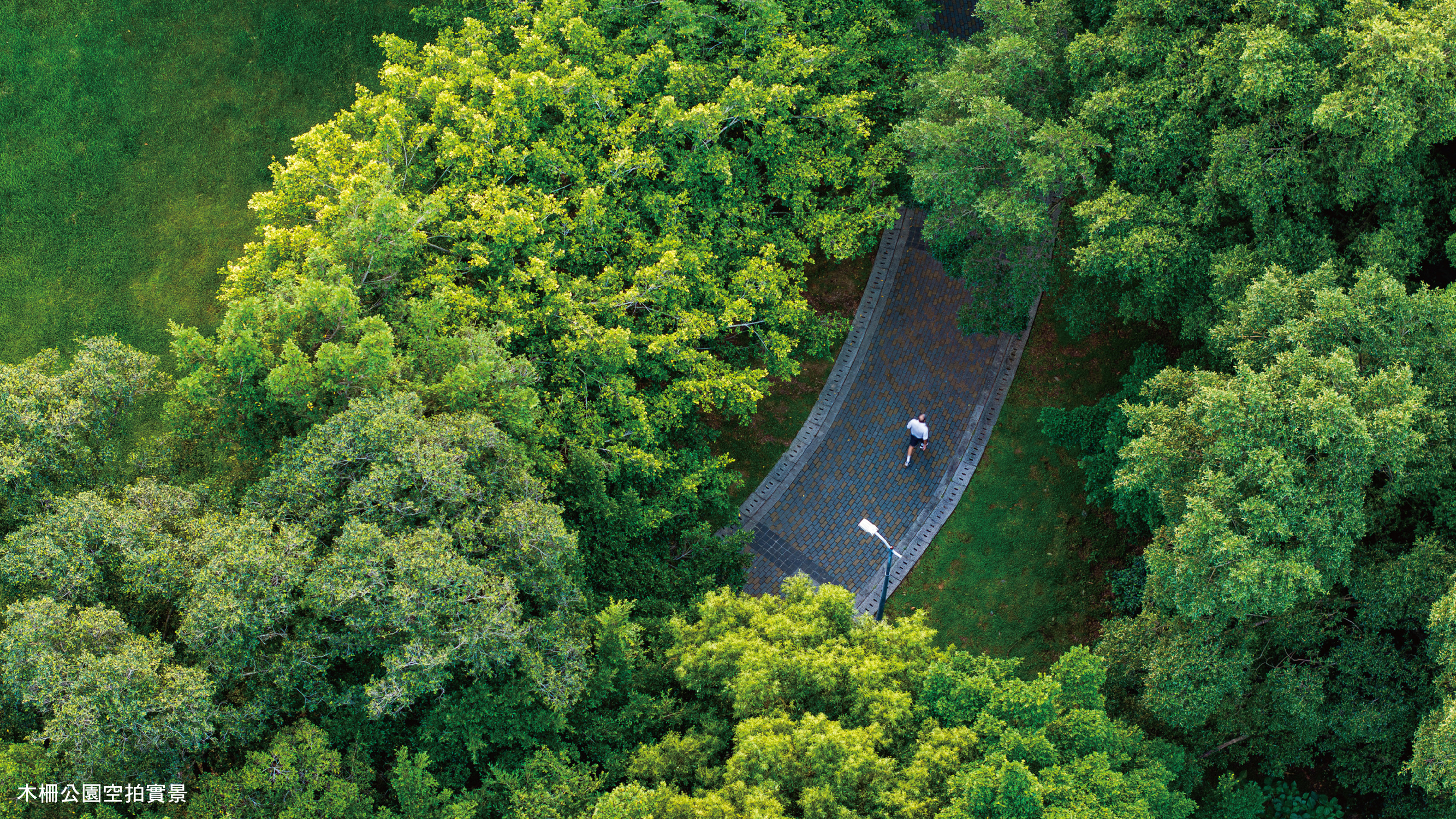 社區內有三處步道入口直通木柵公園，真正實現與綠意為鄰的理想生活。